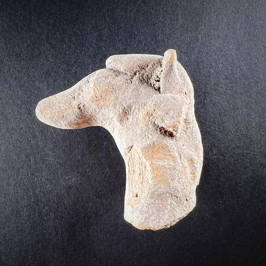 Cypro-Archaic Terracotta Horse Figurine Fragment