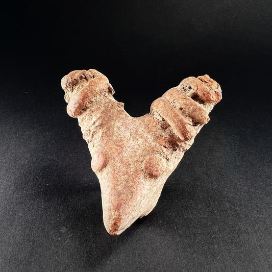 Early Harappan Terracotta Figure Fragment