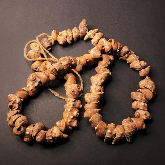 Ewe or Fon Vodun Fetish Shell Necklace