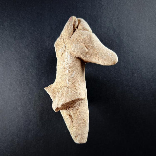 Cypro-Archaic Terracotta Horse Figurine Fragment